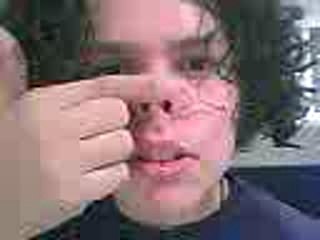 spider cochon spider cochon