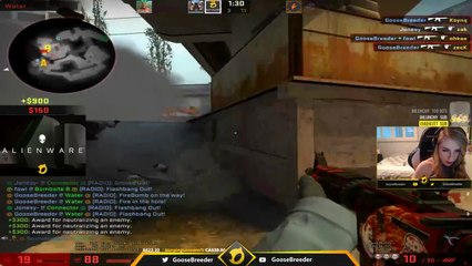 Stream Highlights | Goosebreeder