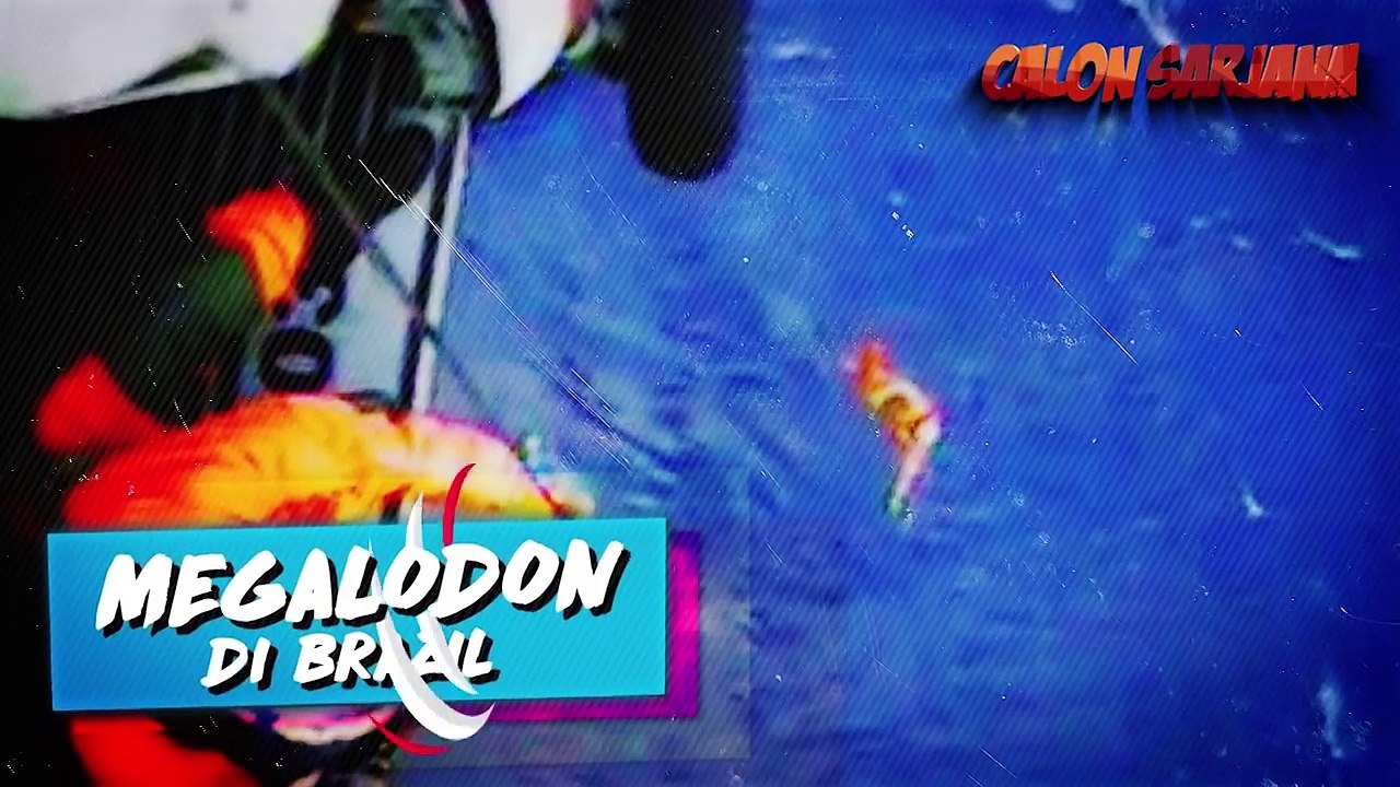 7 BUKTI PENAMPAKAN MEGALODON PALING JELAS YANG BERHASIL TEREKAM KAMERA!!!
