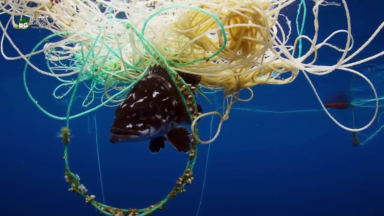 Okyanuslarda Plastik Kirliliğinin Yol Açtığı Sorunlar