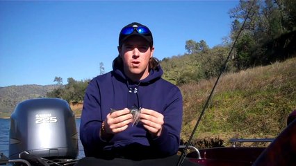 California Swim Jig Secrets
