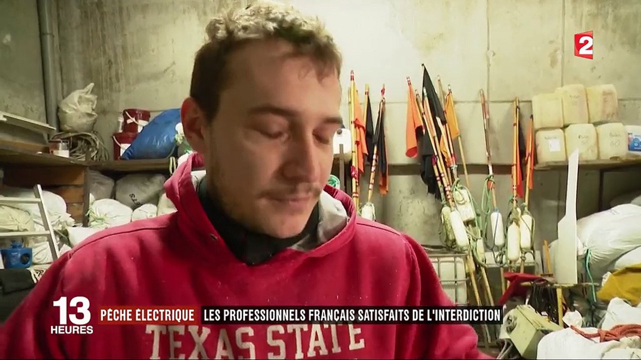 Pêche électrique : les professionnels français satisfaits de l'interdiction