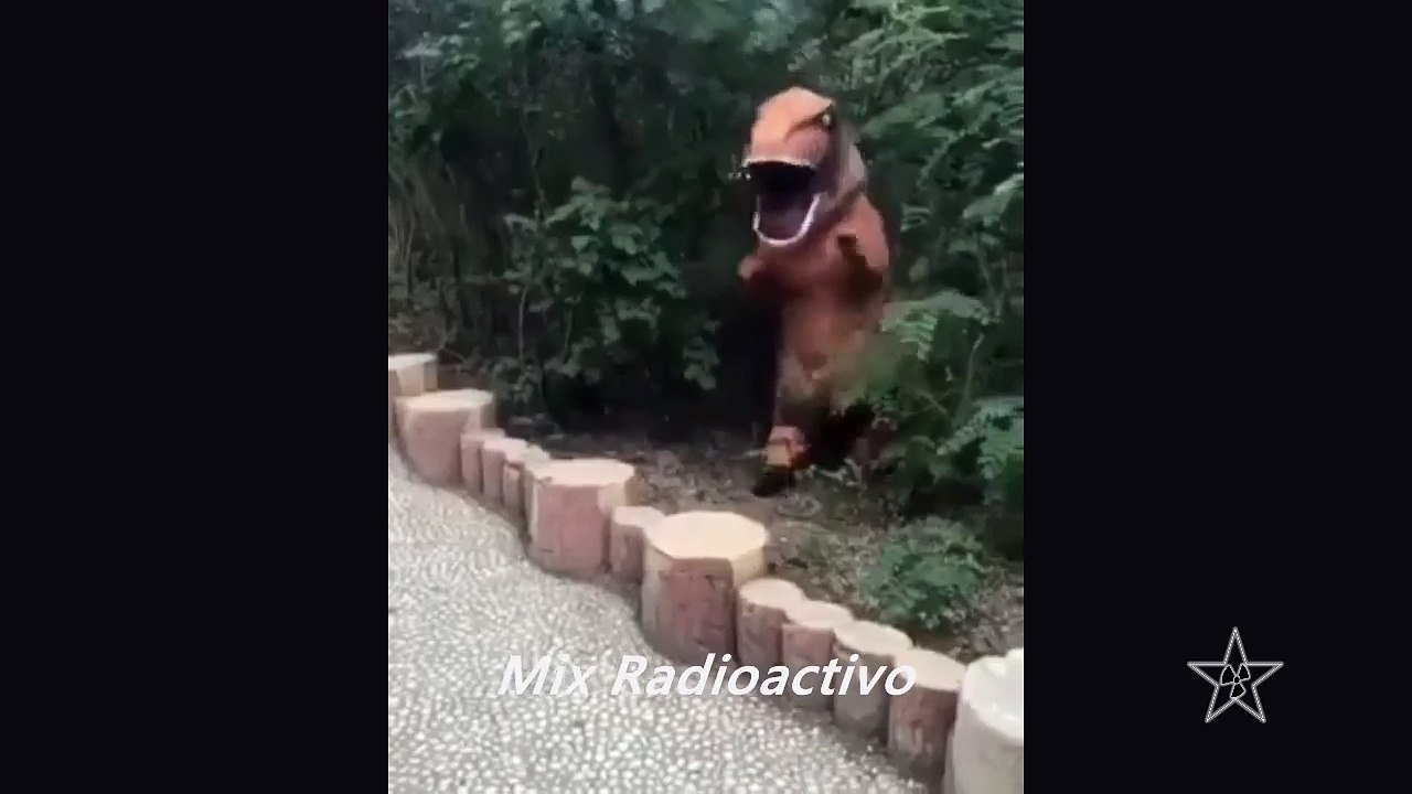 Dinosaurio Al Ataque "Vídeo Chistoso"