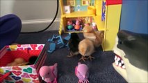 Toy Freaks - Freak Family Vlogs - Bad Baby Victoria  Pet Shark Attacks Baby Chicks Annabelle & Victor