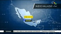 México: hallan 32 cadáveres en fosas clandestinas de Nayarit