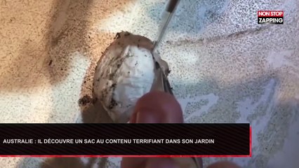 Australie : Il découvre un petit sac dans son jardin au contenu terrifiant ! (vidéo)