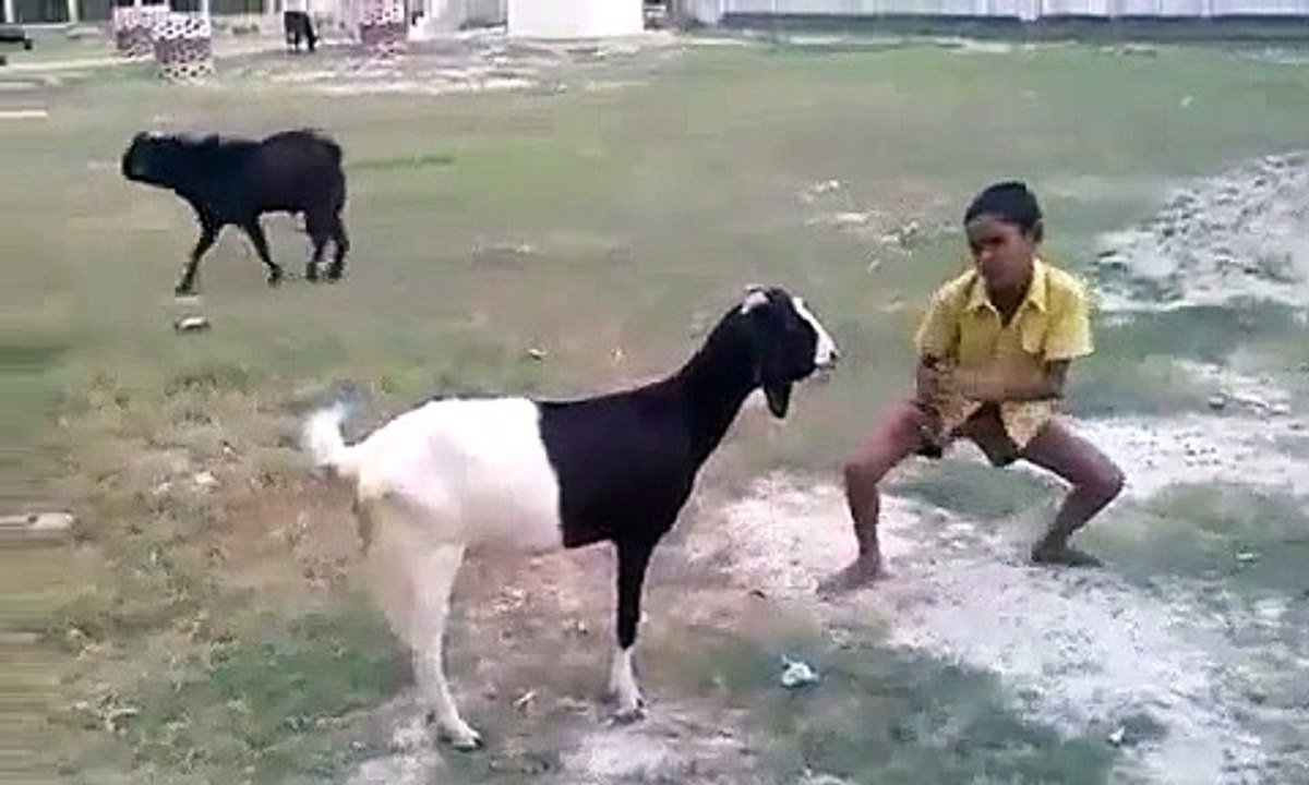 funny boy