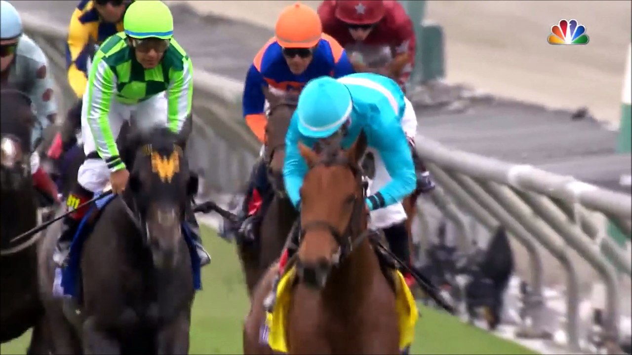 The Legend of Lady Eli