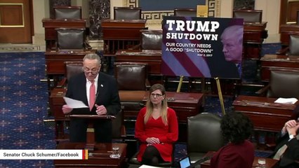 Schumer: 'Negotiating With President Trump Is Like Negotiating With Jell-O'