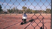 Retriever Training lining Baseball drills (Part 1)