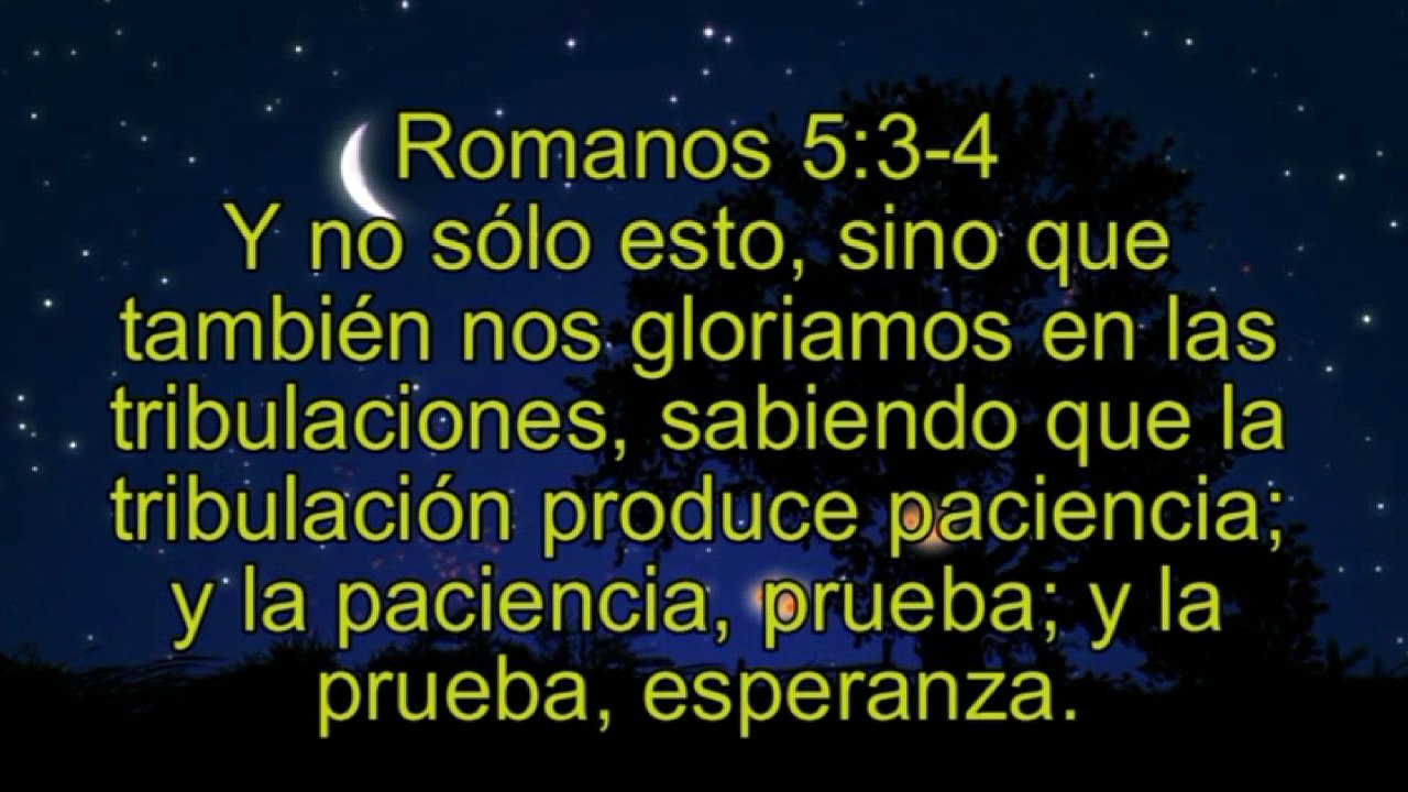 VERSICULOS DE  LA BIBLIA LA ESPERANZA