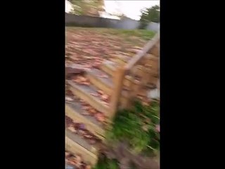 Beck Loser Song Review