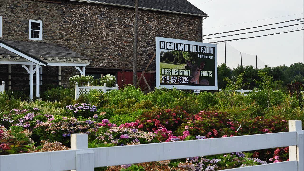 Common   Shrubs and Trees  Used in Eastern Pa Landscapes