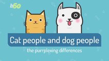 Here are Some Differences Between Cat And Dog People