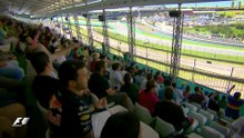 F1 Brazil Grand Prix 2017 Official Race Edit