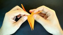 Origami: Cachorro - Instruções em português PT BR