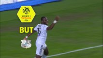 But Moussa KONATÉ (72ème) / Amiens SC - Montpellier Hérault SC - (1-1) - (ASC-MHSC) / 2017-18