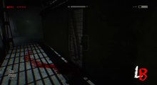 Outlast: Whistleblower | Пасхалки, Секреты, баги.