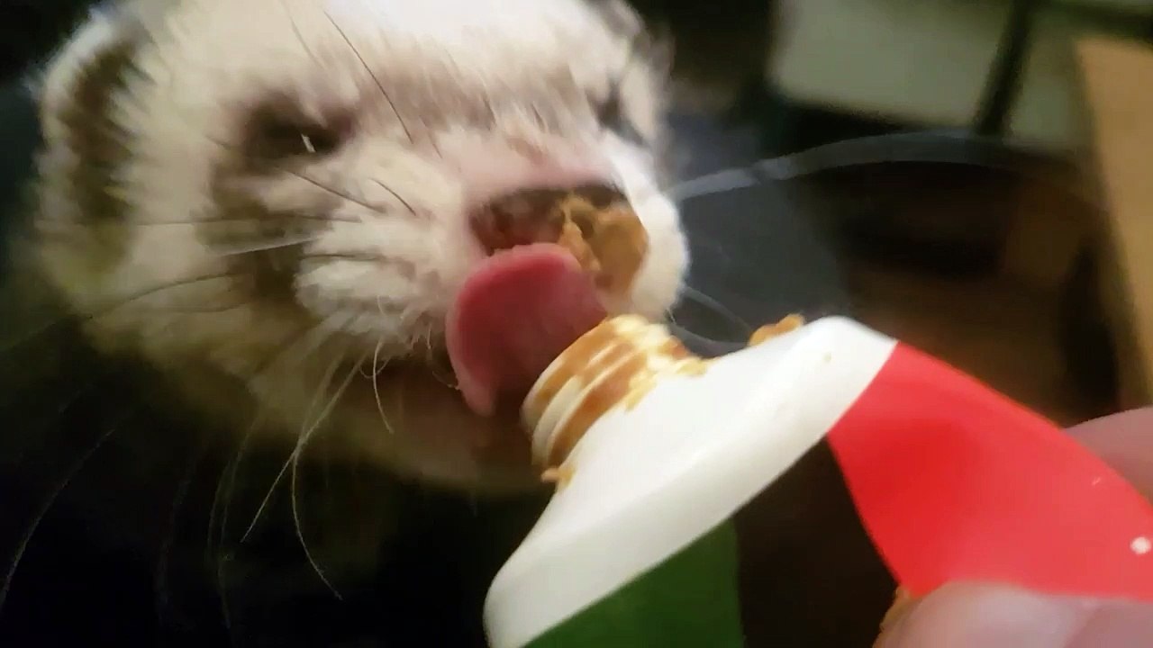 albert eating his snack