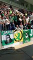 Adeptos do Sporting torcem pela queda da bancada do Estoril