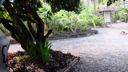 Elephant Poo Poo Paper Park - Thailand Travel