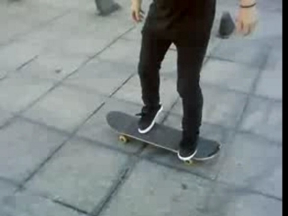 Brice fakie varial flip.