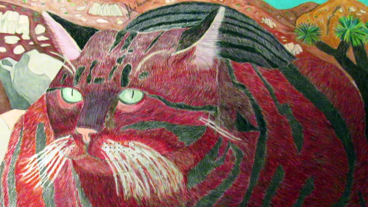 The Stripey Cat At Joshua Tree Drawing