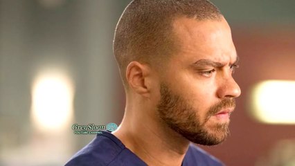 Grey's Anatomy Season 14 Episode 10 "s14e10" HD Streaming
