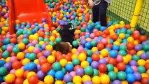Indoor Playground Family Fun Play Area for kids playing with toys balls  & Baby playroom-e2_fE