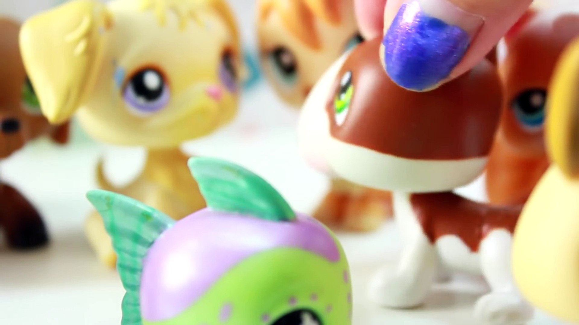 littlest pet shop black friday