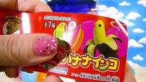 Japans Craziest Animals Gashapon Capsule TOYS! Gacha Machine Toys My Kawaii Family