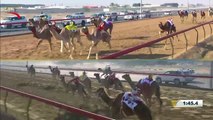سباق الحقاقة للقبائل- المرموم 18-1-2018  ص- ش18 محتفل لـ سلطان علي سلطان بن ميرين 4:33:2
