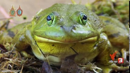 ท่องโลกกว้าง - มหัศจรรย์การรับรู้ ตอน สัมผัสที่ 6