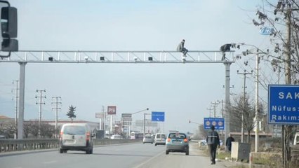 Karayolunun 10 Metre Üzerinde Tehlikeli Çalışma Kamerada