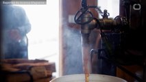 Will Climate Change Bring An End To Maple Syrup?