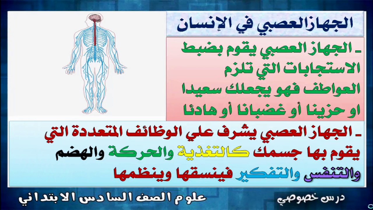 العلوم للصف السادس الإبتدائى التيرم الأول  { 10} الجهاز العصبي المركزي