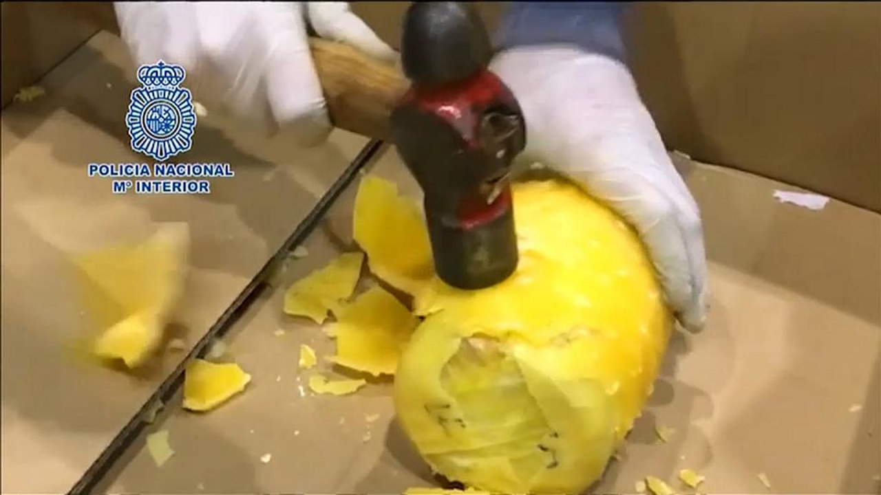 حجز مئات الكيلوغرامات من الأناناس الطازج المحشو بالكوكايين
