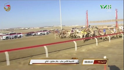 حقاقا للقبائل - الوثبه - 18-1-2018 ص – ش18 شخصيّه لـ حمد مطر حمد الشامسي 4:21:7