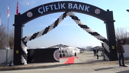 Çiftlik Bank Hakkında İnceleme Başlatıldıktan Sonra 200 Site Daha Kurdular