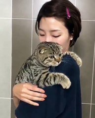 Phòng khám đa khoa Đại Đông - Cute cats #17