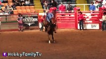 Cowboy RODEO! Riding Bulls n' Horses   Sheep a