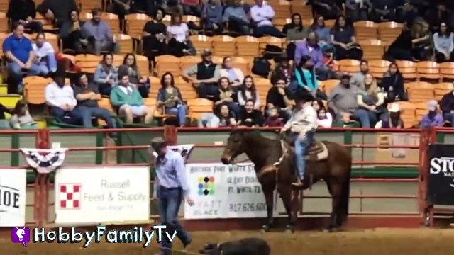 Cowboy RODEO! Riding Bulls n' Horse