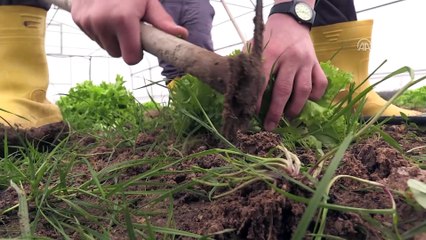 Engelleri serada aşıyorlar - KIRKLARELİ