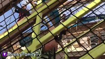 HobbyPig on ZIP LINE! Ropes Obstacle Course at Great Wolf Lodge in Texas   Climbing HobbyFam