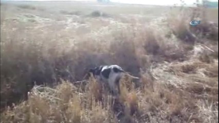 Kaçak Avcılıkla Mücadele Sürüyor