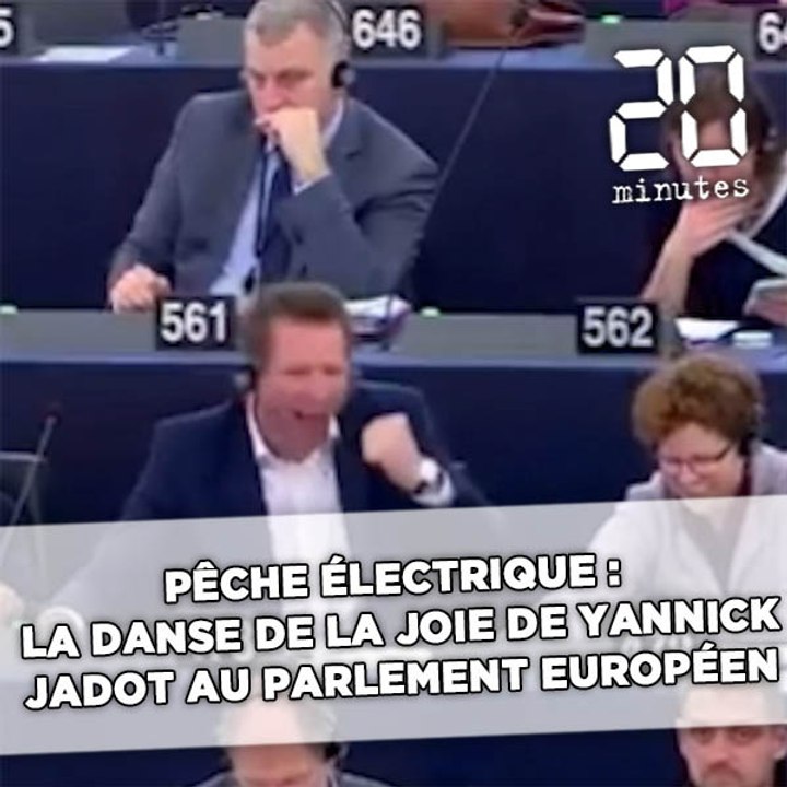 Pêche électrique: La danse de la joie de Yannick Jadot au Parlement européen