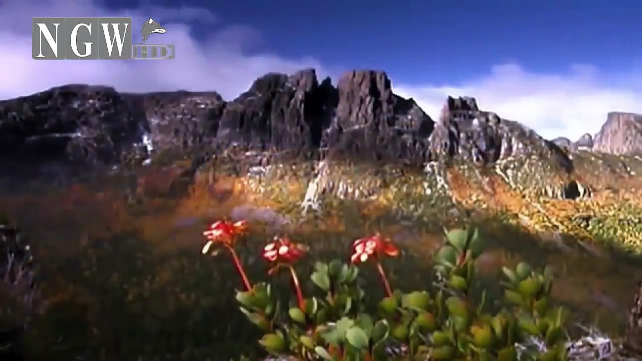 Vùng đất của những con quỷ - Thế giới động vật - Thuyết minh