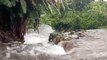 Cyclone Berguitta Floods Roads in Mauritius
