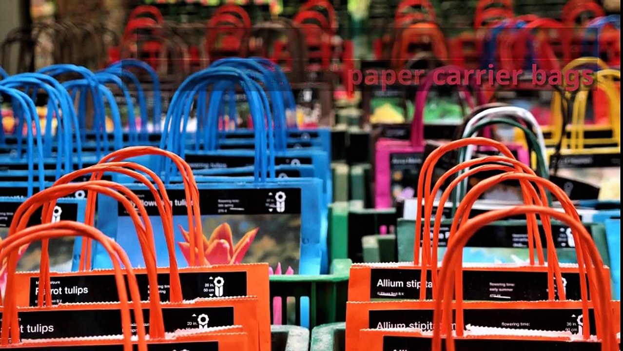 Custom Printed Paper Carrier Bags - Airborne Packaging