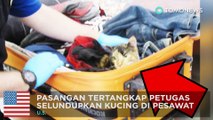Kucing ditemukan di dalam bagasi pasangan oleh petugas bandara - TomoNews